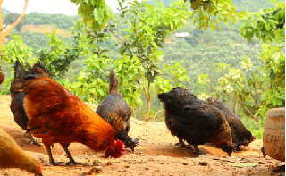 圖片3~1.png 圖片3~1.png