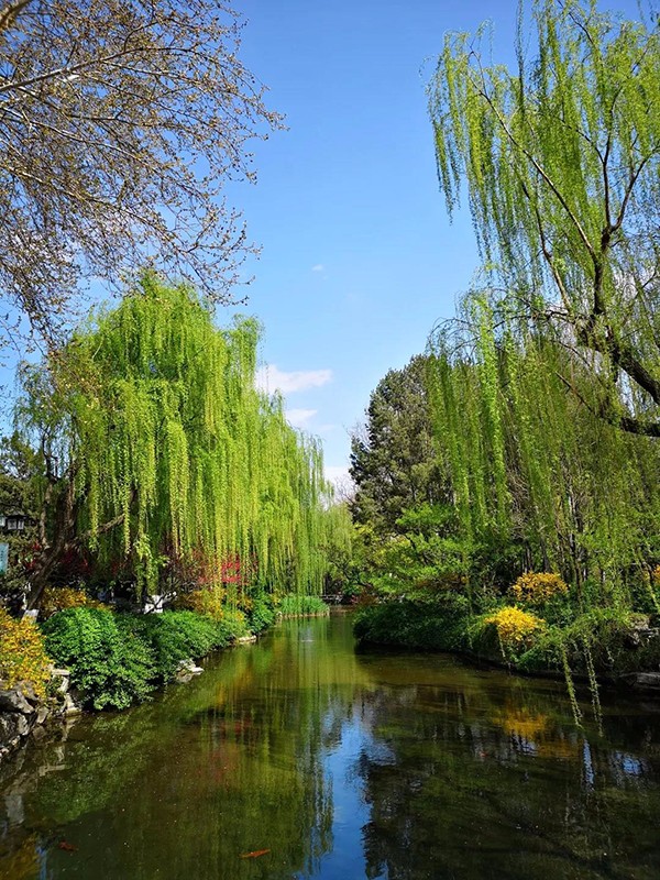 二等春色 小.jpg 二等春色 小.jpg